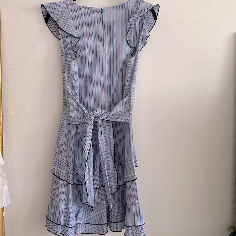 Excellent condition, Parker, ruffle sleeve dress, Sz. 8 - Picture 13 of 14